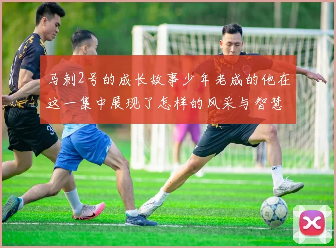 马刺2号的成长故事少年老成的他在这一集中展现了怎样的风采与智慧
